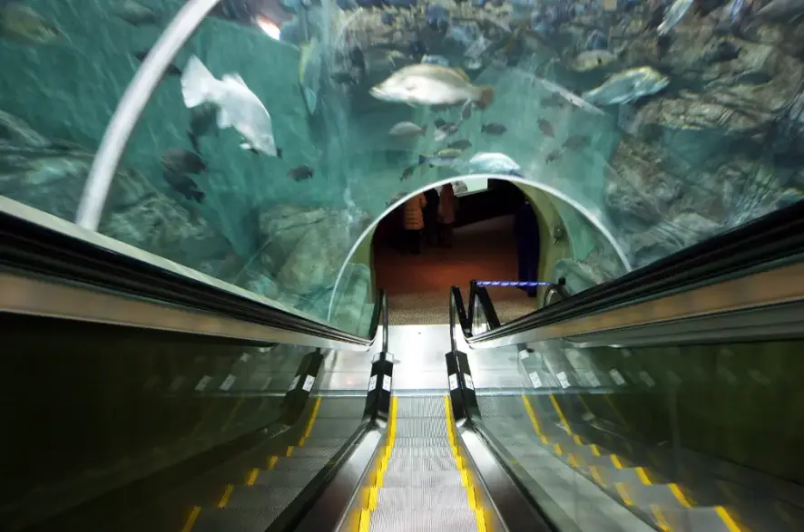 上海海洋水族馆-蒂森克虏伯