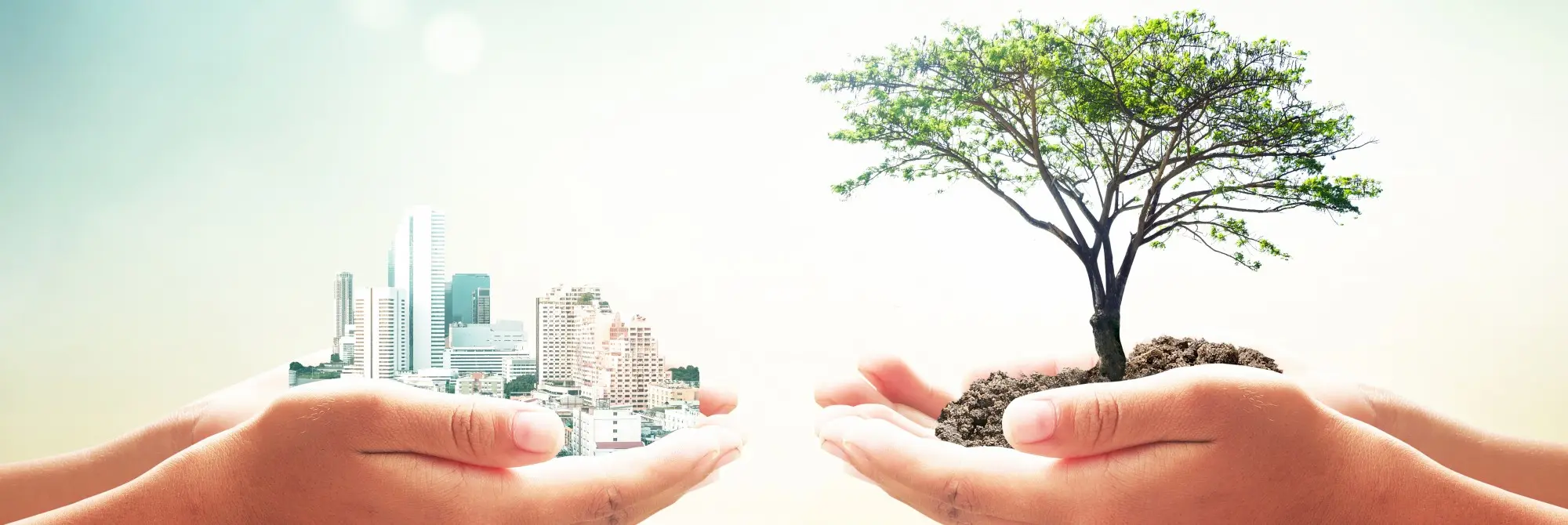 Sustainability