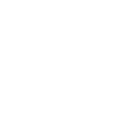 Max speed